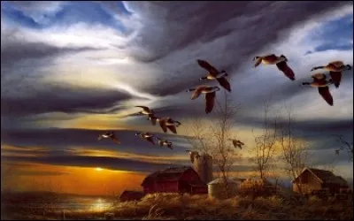 Quand une personne manque de réflexion. Que dit-on de celle-ci ?