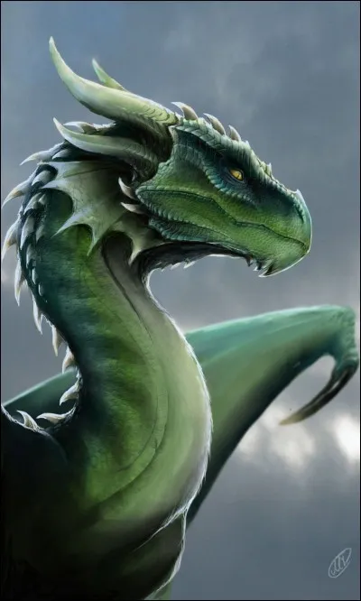 Pourquoi aucun membre n'ose-t-il désobéir aux Dragons célestes pour cause d'un amiral qui rapplique immédiatement ?