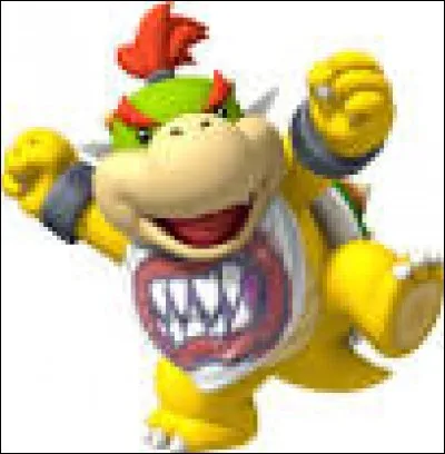 Dans quel jeu apparaît pour la première fois Bowser. Jr ?