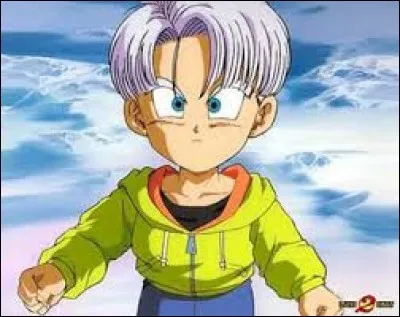 Combien d'enfants Vegeta a-t-il ? Il(s) se nomme(nt)...