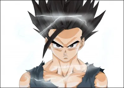 Comment s'appellent les enfants de Sangoku ?