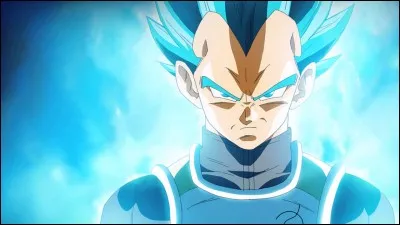 Qui est Vegeta ?