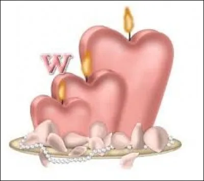 Zèbre de Burchell :