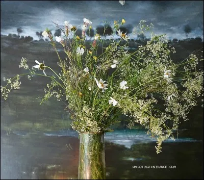 Comme beaucoup de femmes, j'adore les fleurs ! Comment vais-je paraître si vous m'offrez ce magnifique bouquet ?