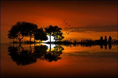 De qui sont les paroles "Avec ma petite chanson, j'avais l'air d'un con" ?