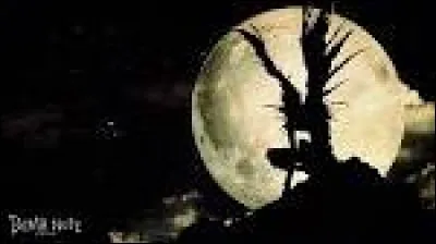 Comment s'appelle le Shinigami qui suit le protagoniste ?