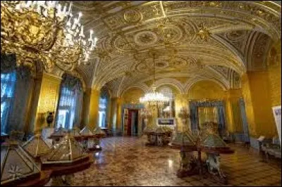 Comment s'appelle ce musée qui est le plus grand du monde en termes d'objets exposés ?