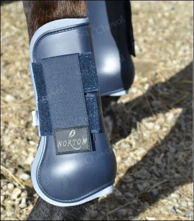 Que voit-on sur cette illustration ?