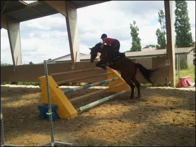 Le saut franchi est :