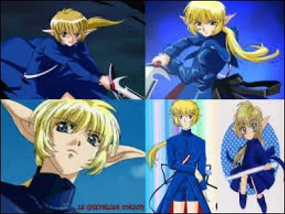 Qui est le chevalier bleu et quel est sont but ?