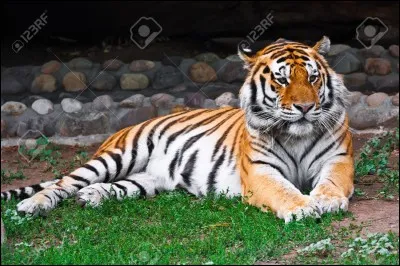 De quel pays est-ce l'embl&egrave;me ?