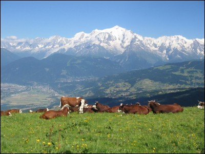 Bidart est une commune française située dans le département de la Savoie.