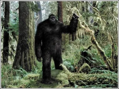 Le bigfoot est une créature légendaire qui vivrait au Canada et aux États-Unis.