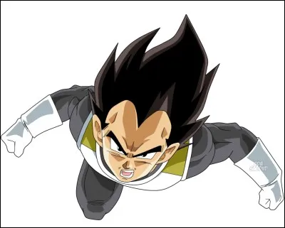 Dans Dragon Ball Super (derniers épisodes) qui est le plus fort entre Vegeta et Goku ?
