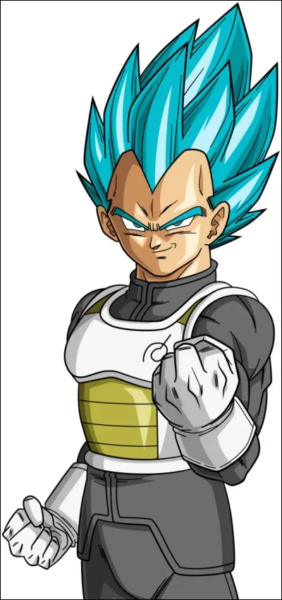 Sur une échelle de 1 à 20 sachant que Whis est à 15 et Beerus à 10, où se trouve Vegeta SSJ blue ?