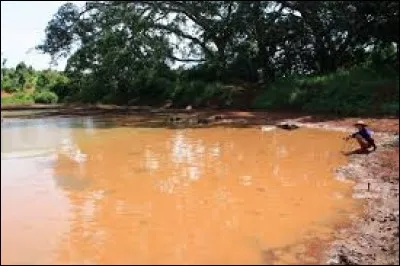 À Bangkok, ma voisine a fait beaucoup de photos de Thaïlandaises qui passent les marigaux.