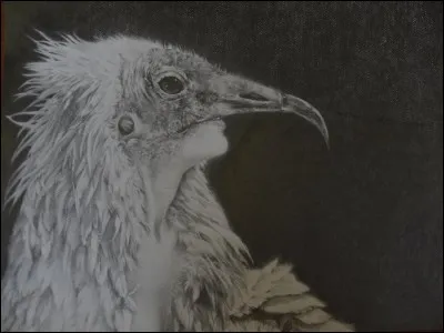 Qui est cette déesse ? Les rois se mettaient sous sa protection, souvent représentée au-dessus d'eux sous l'apparence d'un vautour symbolisant la Haute-Égypte.