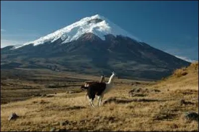 Dans quel pays se situe le volcan "Cotopaxi" ?