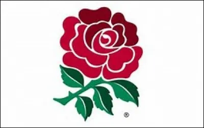 A quelle équipe nationale de rugby ce logo appartient-il ?