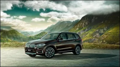 Quelle grande société industrielle allemande constructrice d'automobiles est située à Munich ?