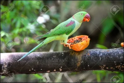 Par contre, si vous ne me cherchez noise, je ...