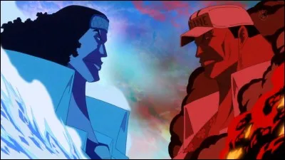 Pourquoi Akainu et Aokiji se sont-ils affrontés après la guerre au sommet ?