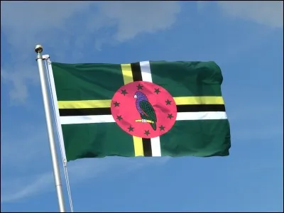 À quel pays appartient ce drapeau ?