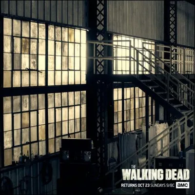 D'où vient le groupe de Negan ?