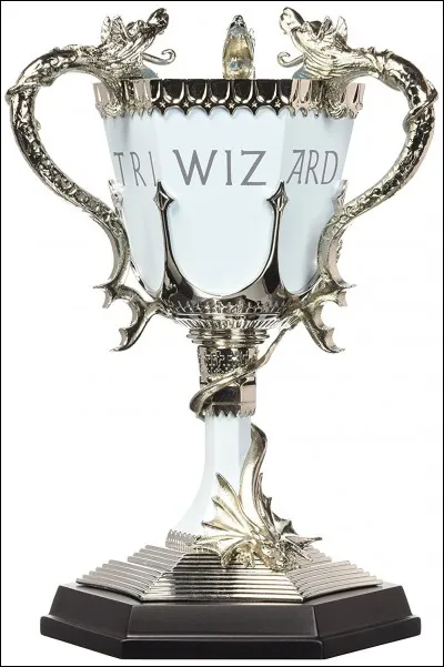 Qui a transformé la coupe du tournoi en portoloin ?