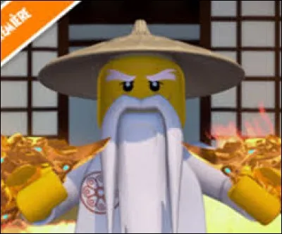 Comment ce ninja à grande barbe blanche s'appelle-t-il ?