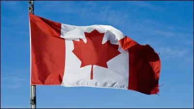 Quand a été adopté ce drapeau ?