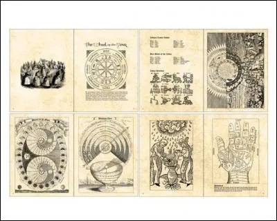 Qui est l'auteur de 'Sorts et Contre-Sorts', livre qui fascine Harry, et quel est son titre secondaire ?