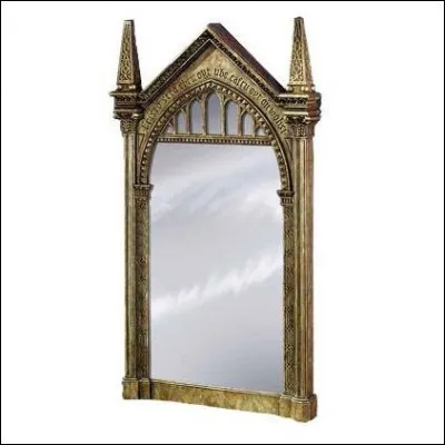 Dans "Harry Potter à l'école des sorciers", que voit Ron dans le miroir du Riséd ?