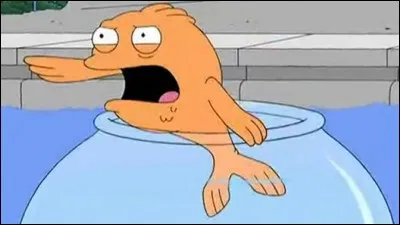 Comment s'appelle le poisson ?