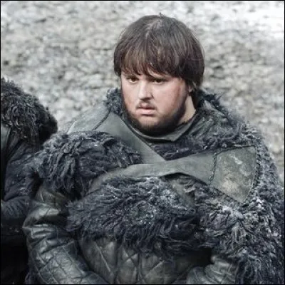 Quel est le nom entier de Sam ?