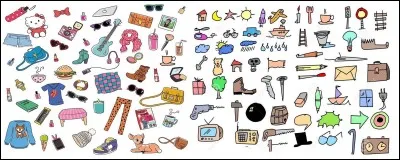 Quel objet, le voleur a-t-il dérobé?