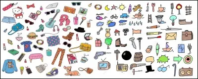 Quel objet, le voleur a-t-il dérobé?