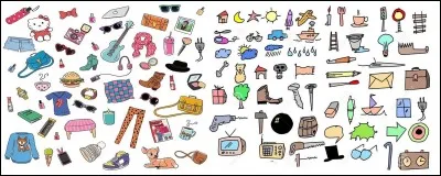 Quel objet, le voleur a-t-il dérobé?