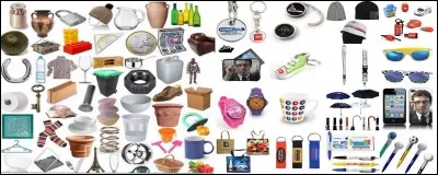 Quel objet, le voleur a-t-il dérobé?