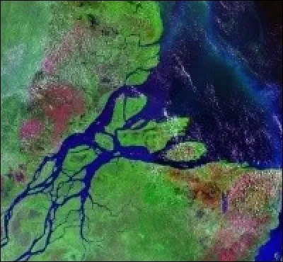 Mais le vent a ses raisons que la raison ignore, à nouveau la plume change de direction, et après de nombreuses heures de vol, elle survole l'île de Marajo, dans l'un des plus grands deltas du monde !