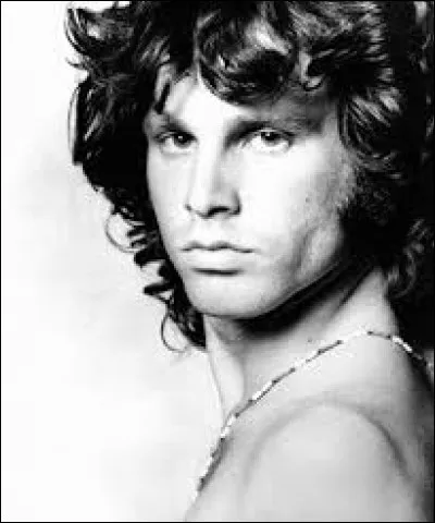 Juillet 1971 : Jim Morrison meurt d'une overdose à Paris. De quel groupe était-il le chanteur ?