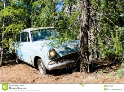 Quelle est la marque de la voiture d'Arthur Weasley ?