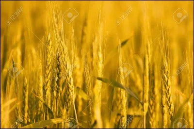 Qui est la déesse grecque de l'Agriculture ?