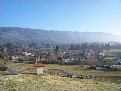 Q - Un "quintal, des quin..." ! "Quintal" au pluriel est un mot qui se termine par "x".