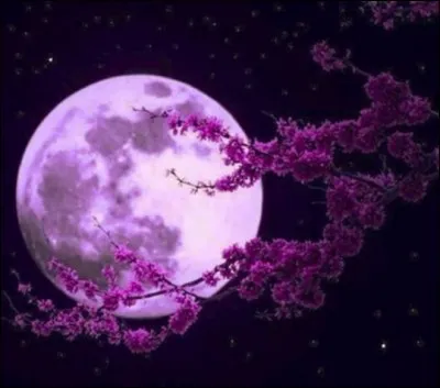 L - La "Lune" est l'unique satellite naturel de la Terre.