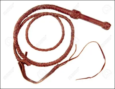 Quel esprit demande tout le temps à Lucy d'être puni(e) ?