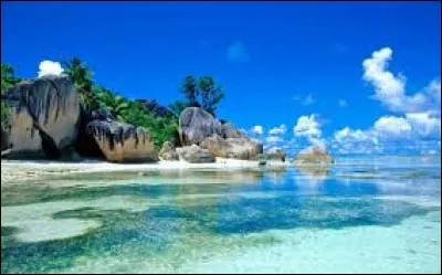 Cet oiseau porte le nom d'une île située au large des côtes du Maroc.