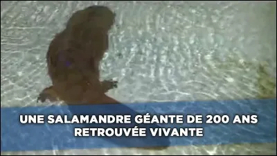 Triturez-vous les neurones pour trouver mon pays !