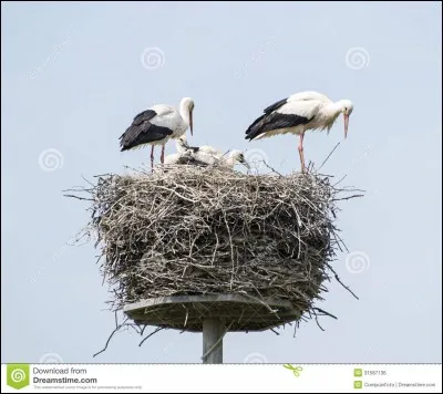 Cette fois-ci, c'est une région que vous devez trouver, par l'intermédiaire d'une spécialité !
