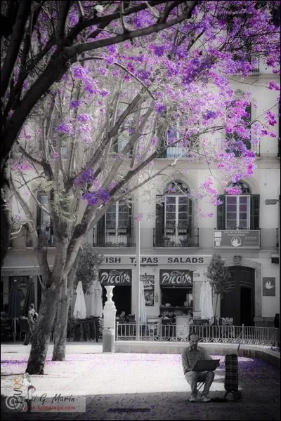En quelle année a été créé le magasin "Le printemps" à Paris ?